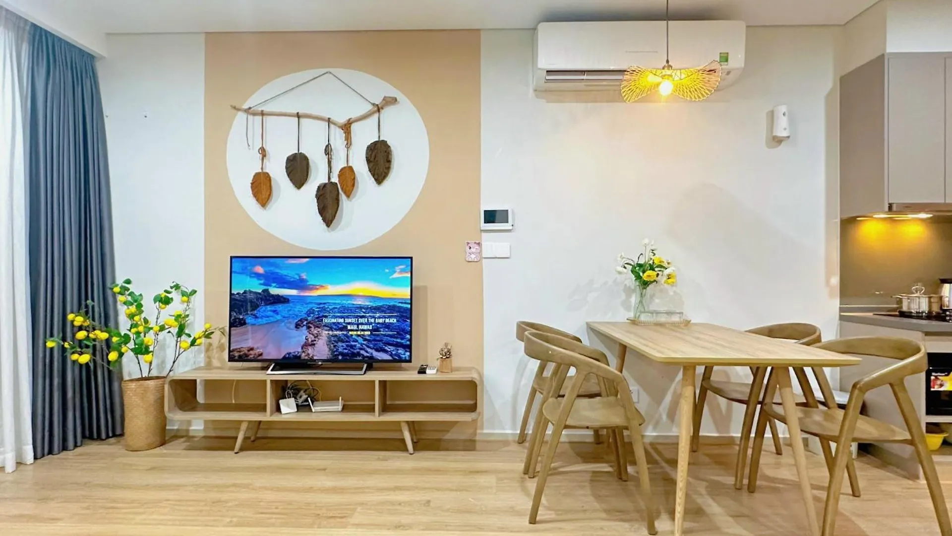The Song House Vung Tau Apartment